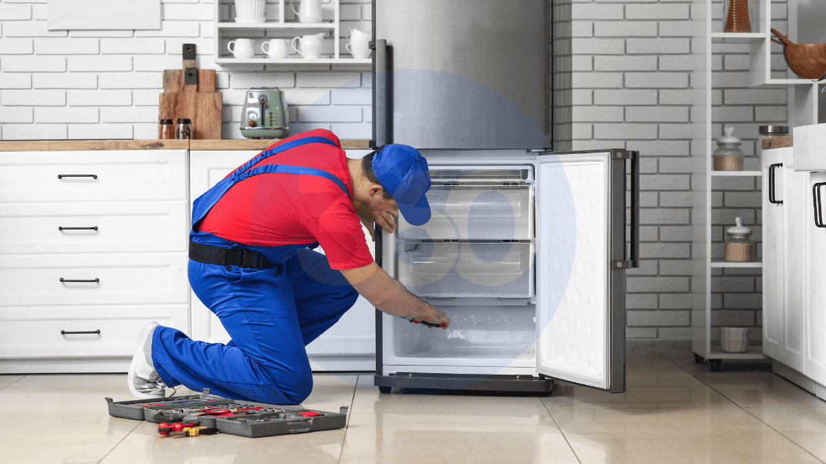 Payas Buzdolabı Servisi